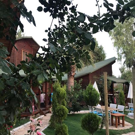 Oba Beach Hotel Oludeniz Exterior photo