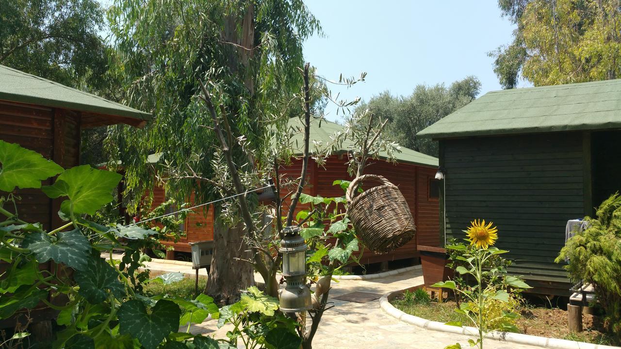 Oba Beach Hotel Oludeniz Exterior photo