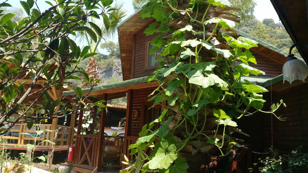Oba Beach Hotel Oludeniz Exterior photo