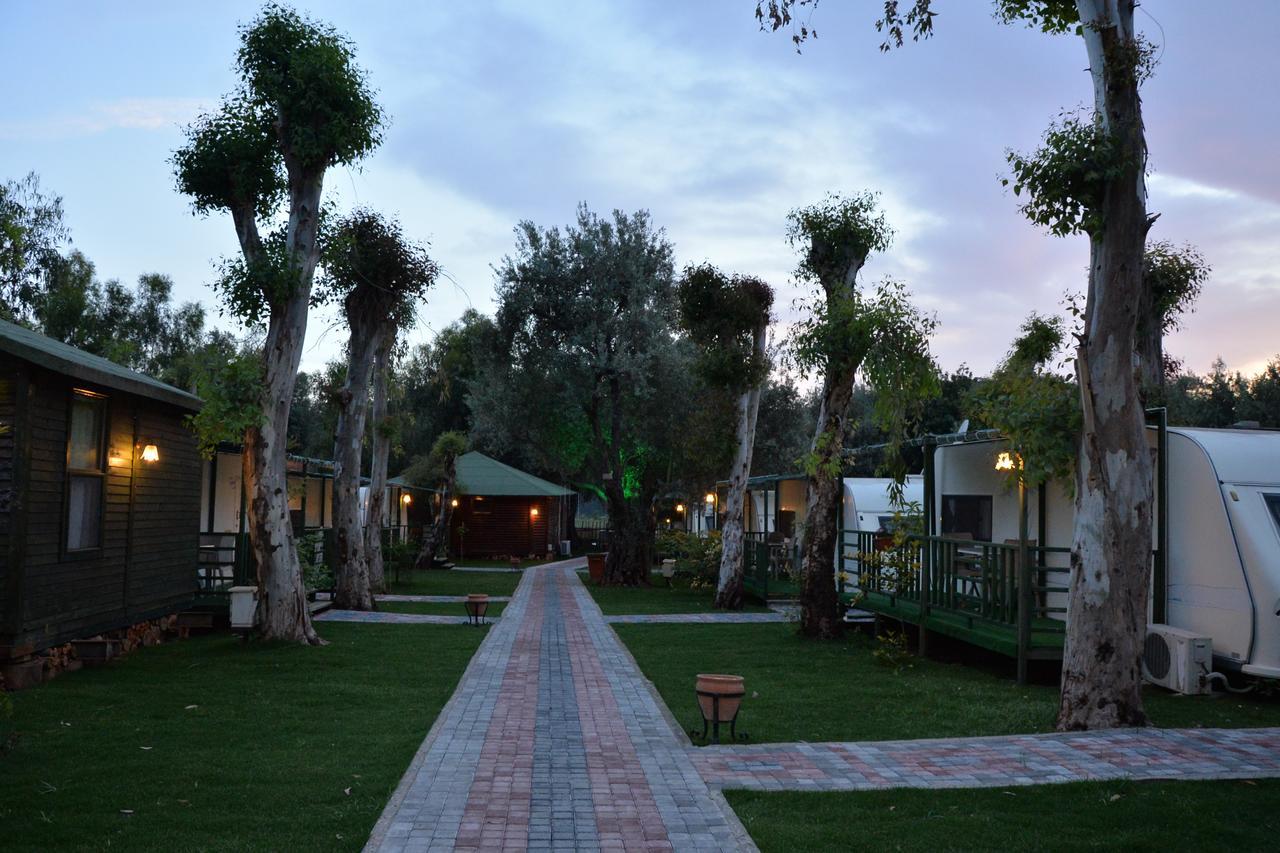 Oba Beach Hotel Oludeniz Exterior photo