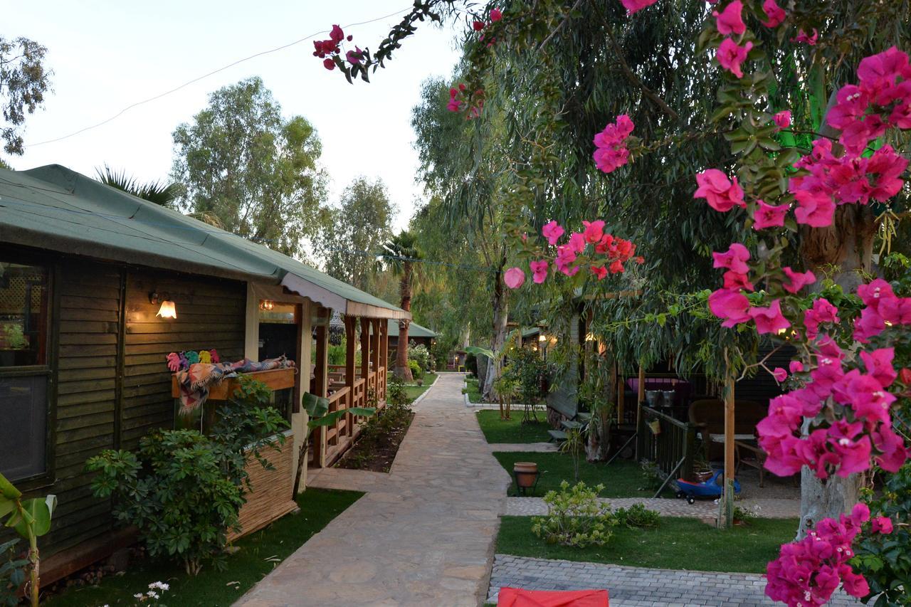 Oba Beach Hotel Oludeniz Exterior photo